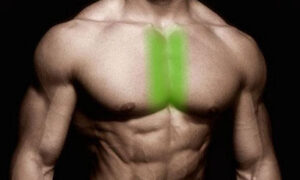 Read more about the article Inner chest workouts to build a strong chest