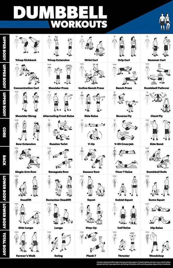 free dumbbel workout illustration download