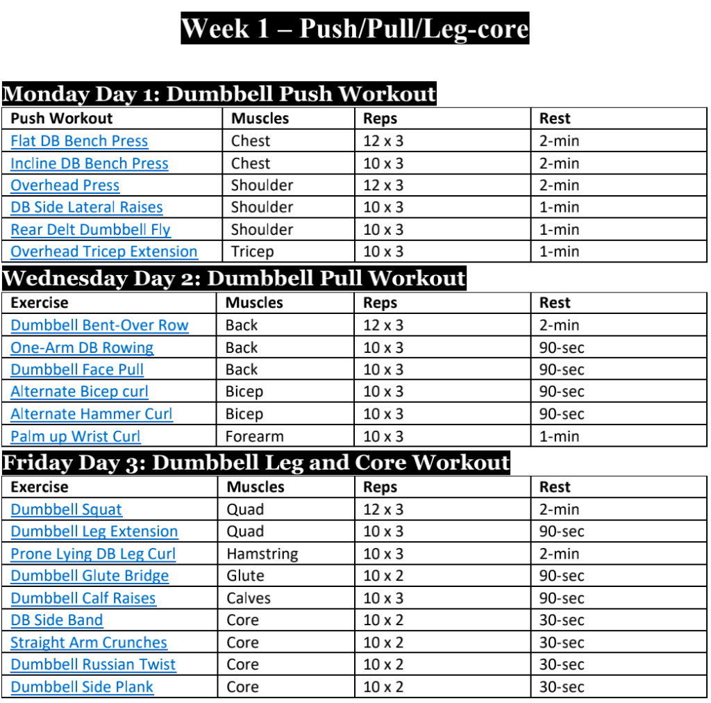 12 Week Dumbbell workout plan PDF