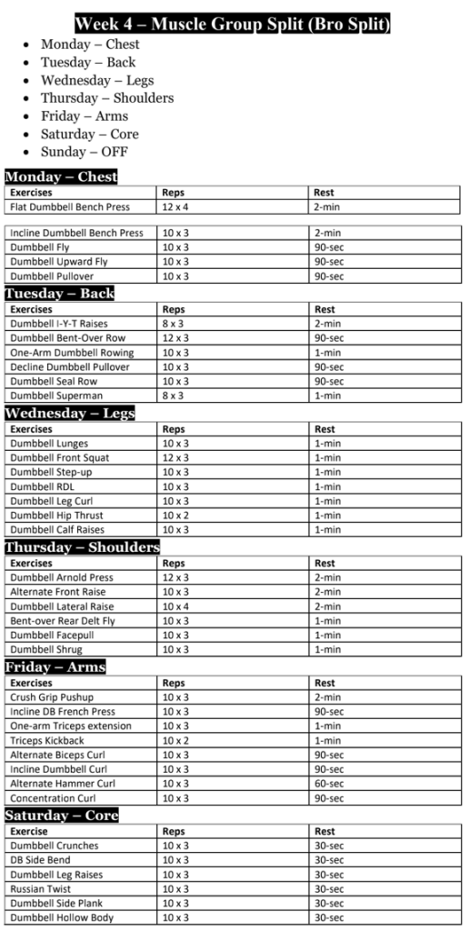 12 Week Dumbbell workout plan PDF