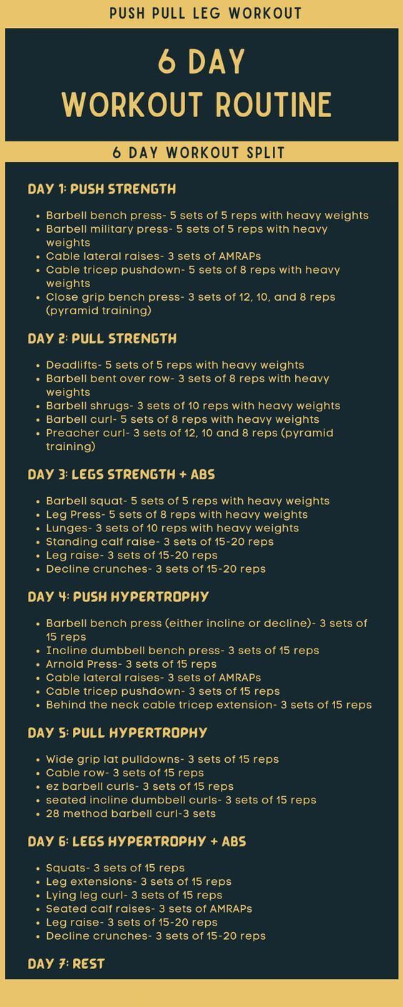 6-day-gym-workout-schedule-free-pdf-version-available