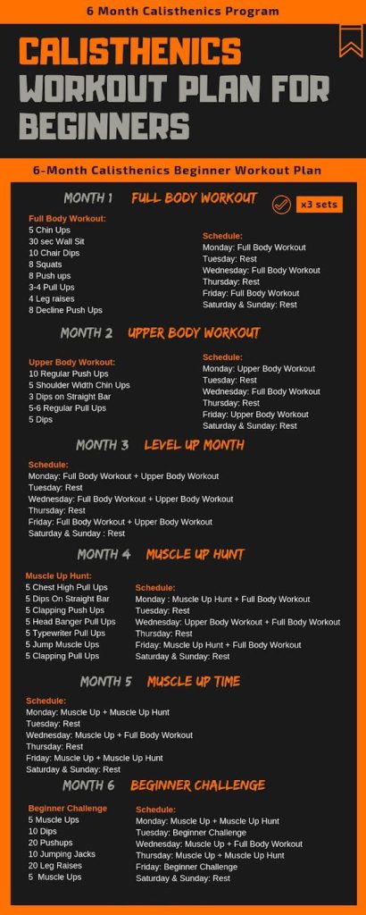 Beginner calisthenics workout plan