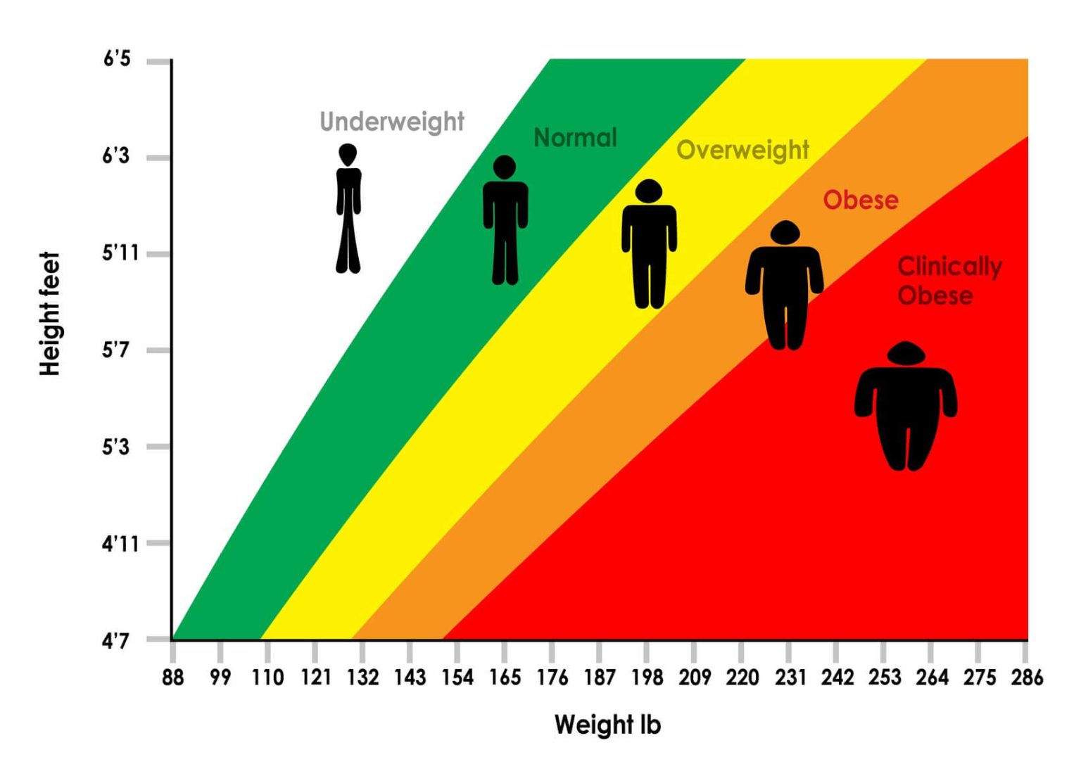 bmi-calculator-justfit