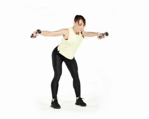 reverse fly
arm workouts for women