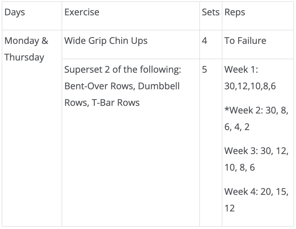 arnold split workout routine for back