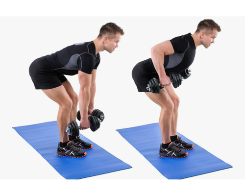 dumbbell pendlay row