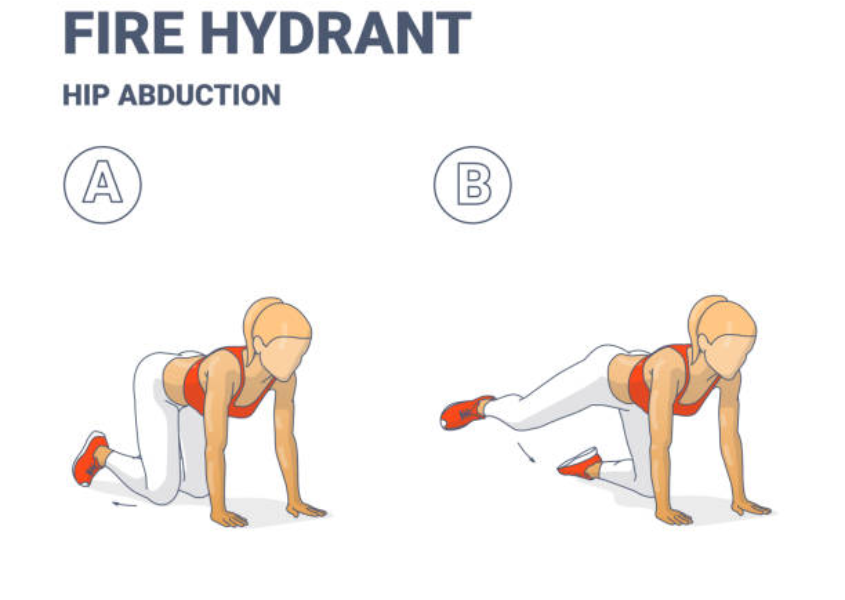 Fire Hydrant Exercise How To Perform Benefits And Variations Fire Hydrant Exercise How To Perform Benefits And Variations