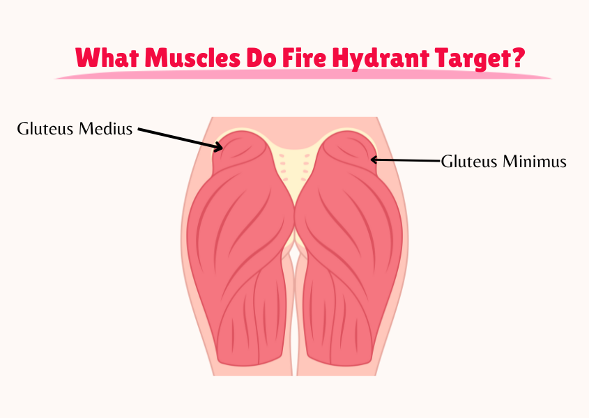 fire hydrant target muscles