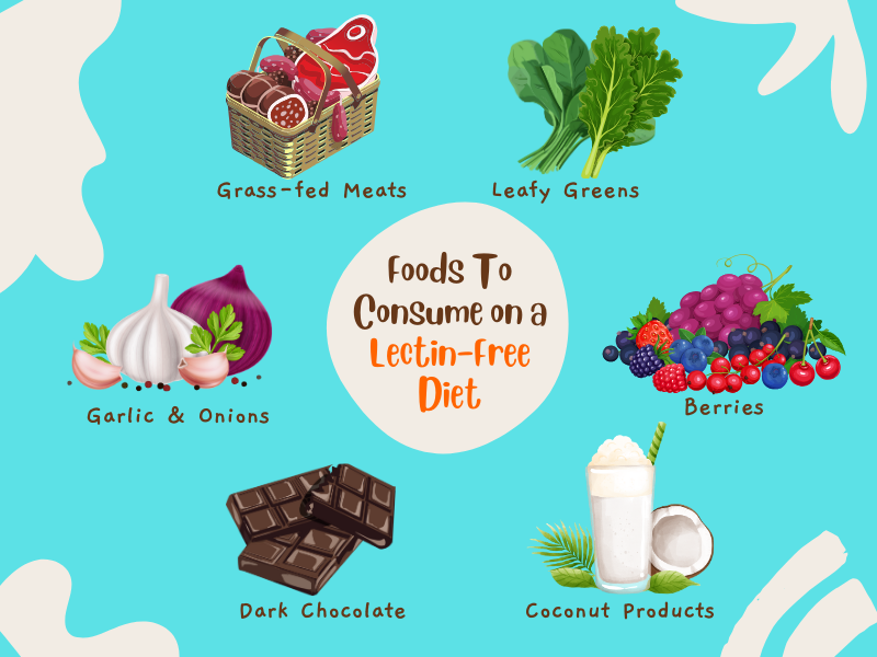 food containing lectins