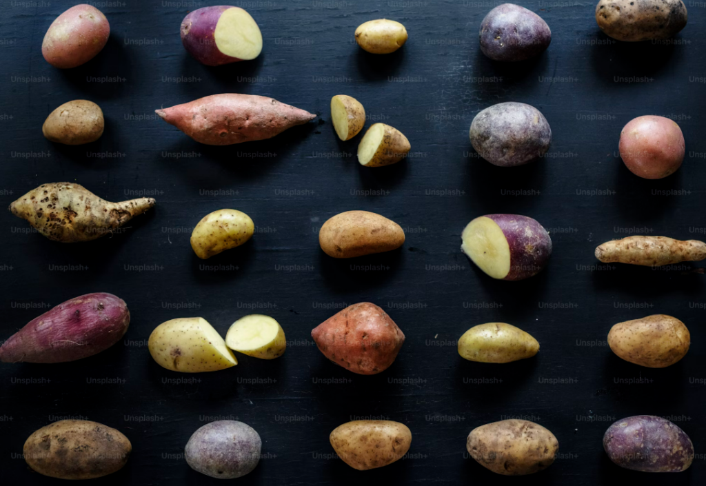 Assorted colorful potatoes, including Japanese sweet potatoes, displayed on a dark background, highlighting their nutritional value and variety.