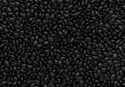 A close up on black lentils.