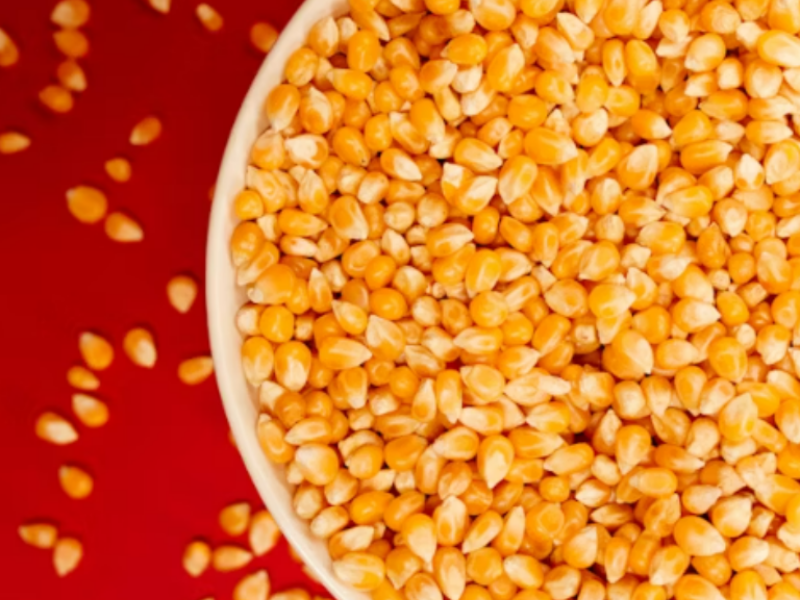 Close up image of popcorn kernels.