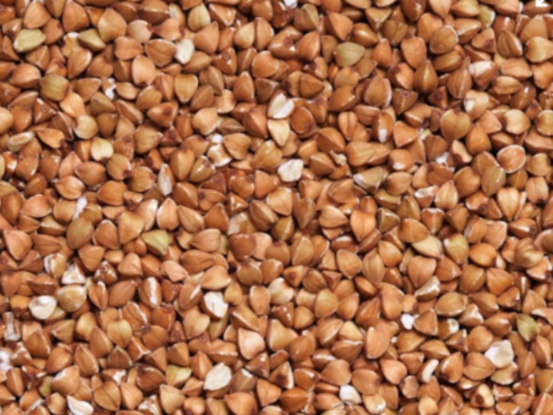 A close up image of buckwheat seeds.