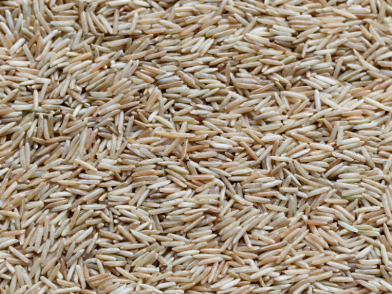 A close-up view of uncooked brown rice grains scattered in a uniform layer.