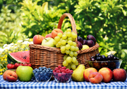 fruit fast